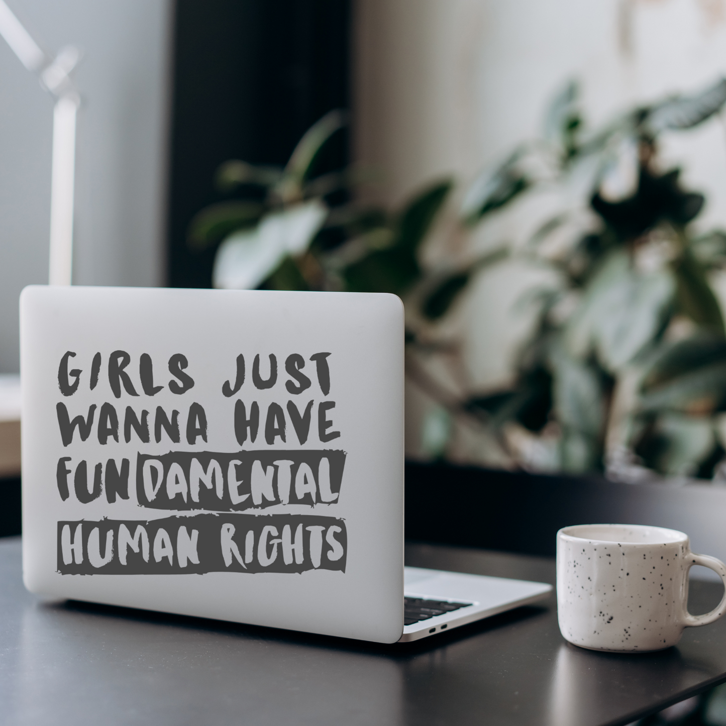 Girls Just Wanna Have Fundamental Human Rights – Feminist Vinyl Decal