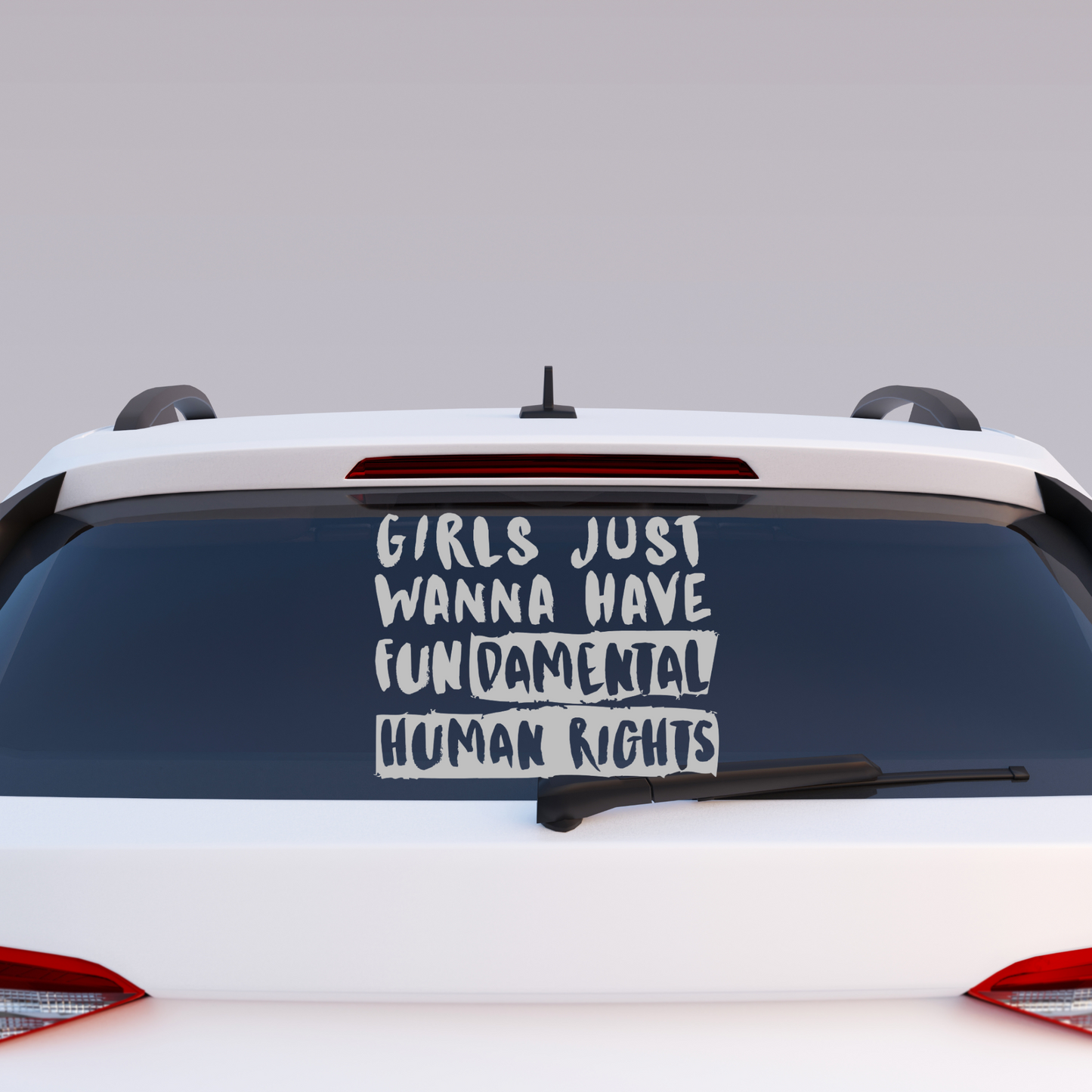 Girls Just Wanna Have Fundamental Human Rights – Feminist Vinyl Decal