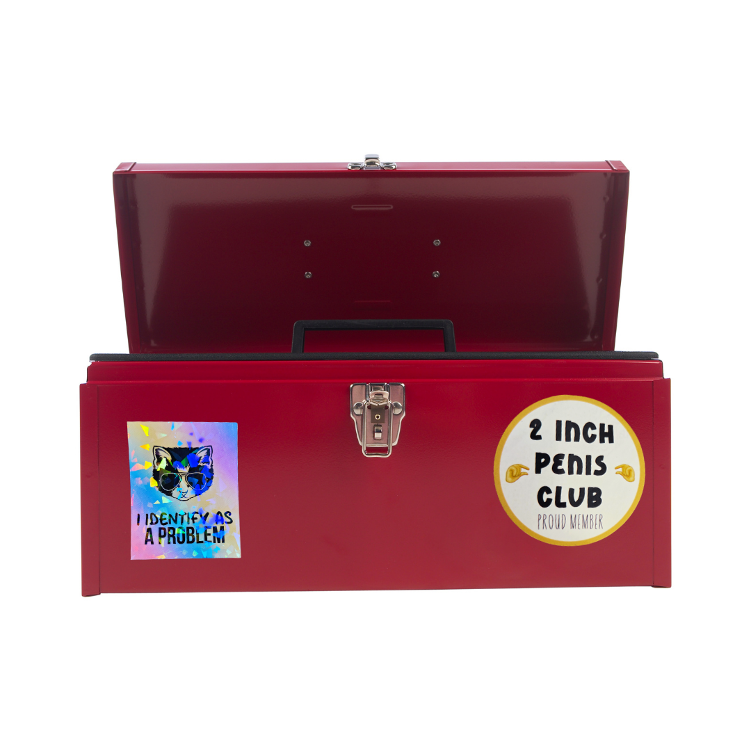 Funny Cat Sticker - I Identify as a Problem - Holographic Rainbow Sticker