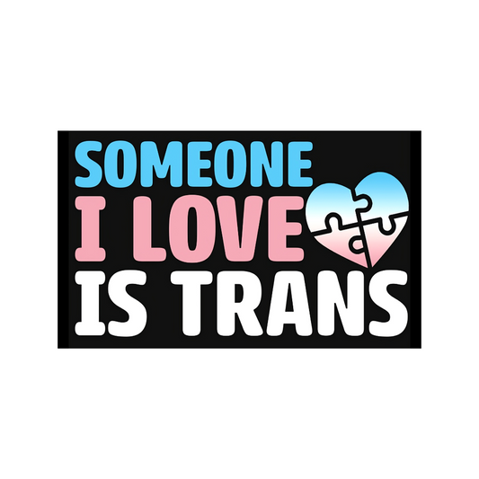 Someone I Love is Trans Sticker